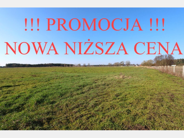 Działka Sprzedaż Lubczyna