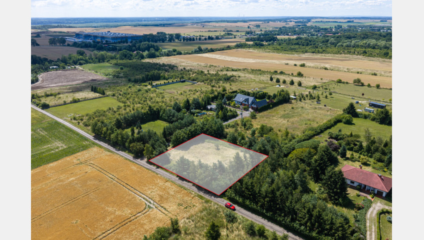 Działka Sprzedaż Smolęcin