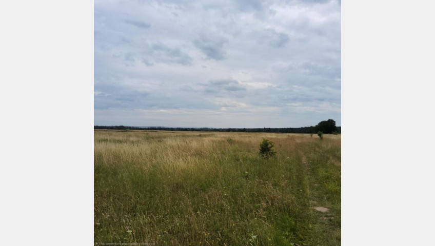 Działka Sprzedaż Buk