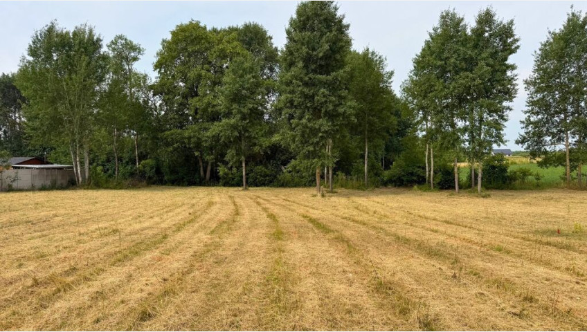 Działka Sprzedaż Marszewo