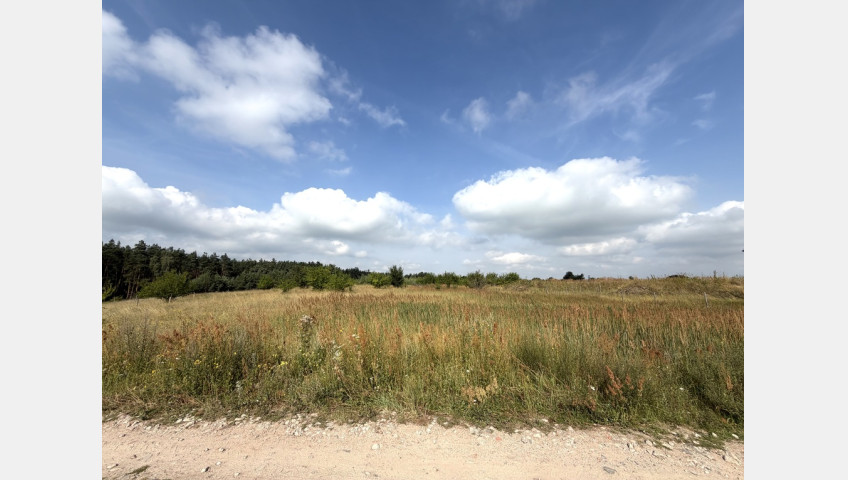 Działka Sprzedaż Daleszewo