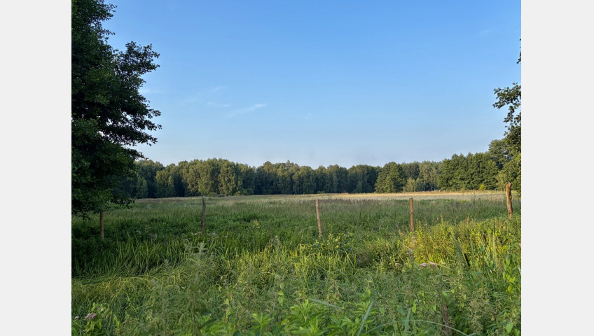 Działka Sprzedaż Tanowo