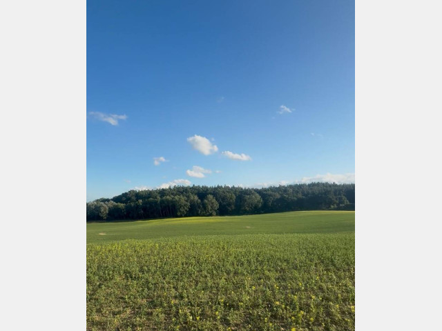 Działka Sprzedaż Buk