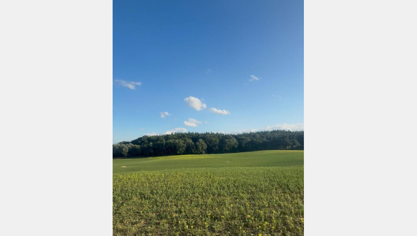 Działka Sprzedaż Buk