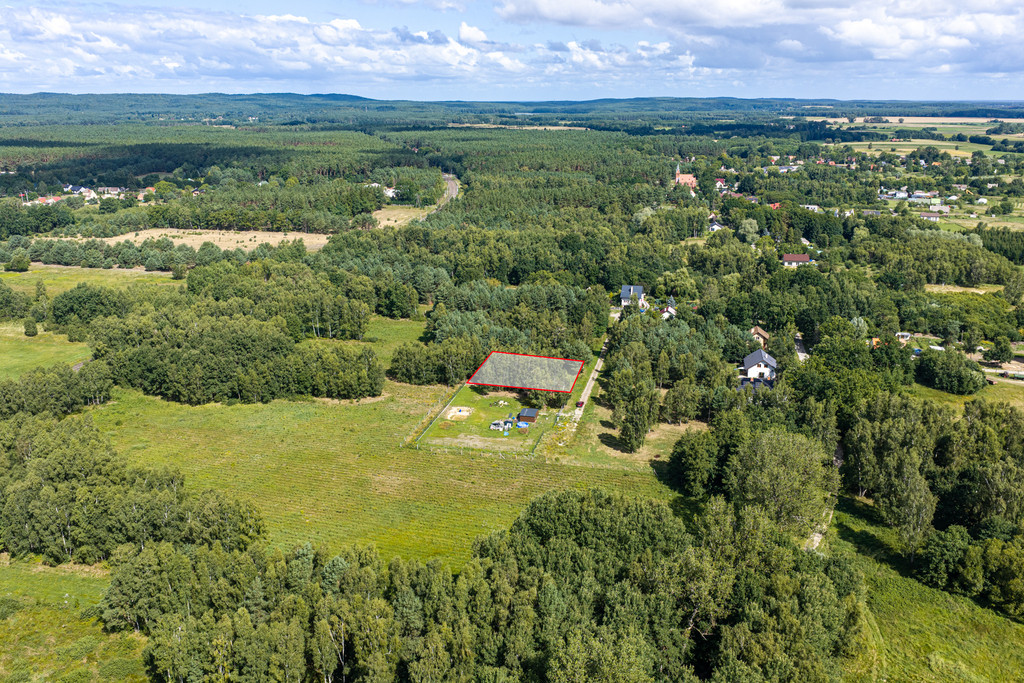 Działka Sprzedaż Ładzin