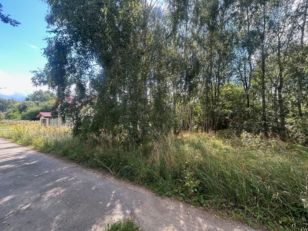 Działka Sprzedaż Dołuje