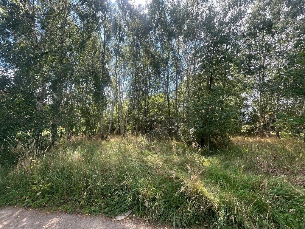 Działka Sprzedaż Dołuje