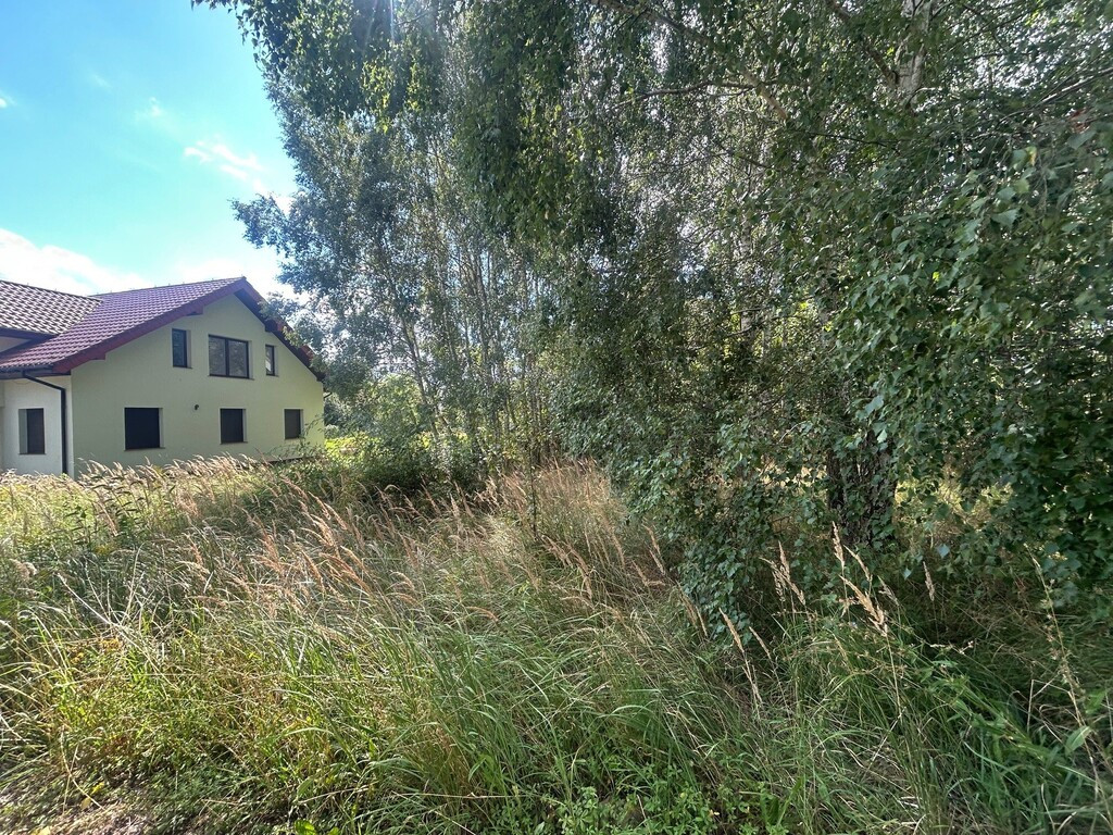 Działka Sprzedaż Dołuje