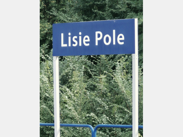 Dom Sprzedaż Lisie Pole