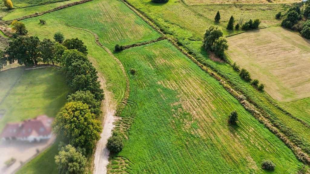 Działka Sprzedaż Radzanek