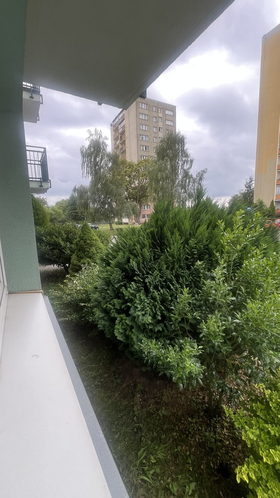 Mieszkanie Sprzedaż Szczecin Książąt Pomorskich