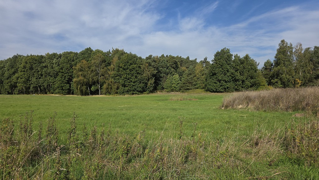 Działka Sprzedaż Przęsocin
