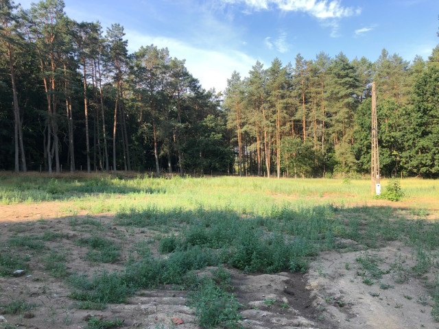 Działka Sprzedaż Trzebież