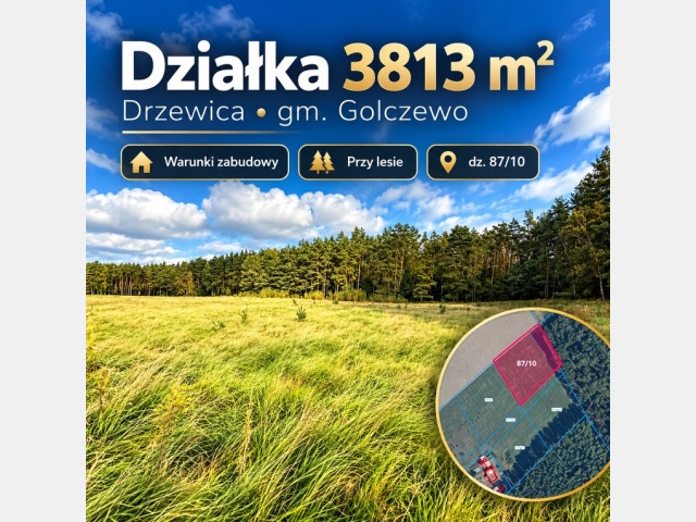 Działka Sprzedaż Drzewica