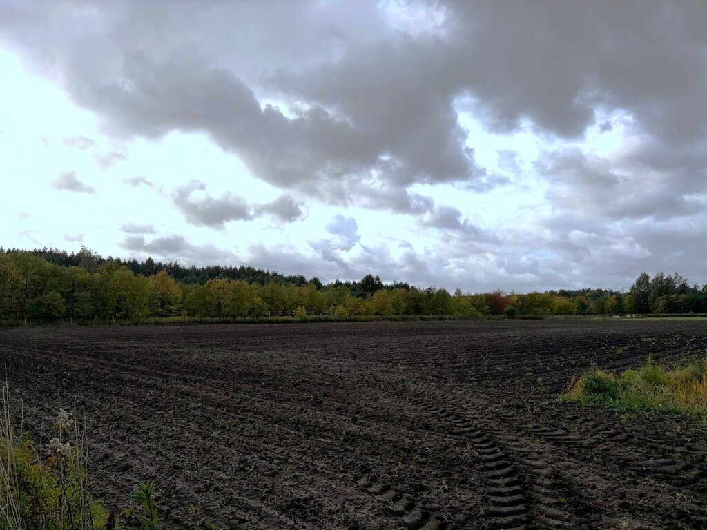 Działka Sprzedaż Szczecin Sławociesze Stary Szlak