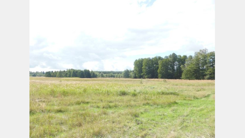 Działka Sprzedaż Grzepnica