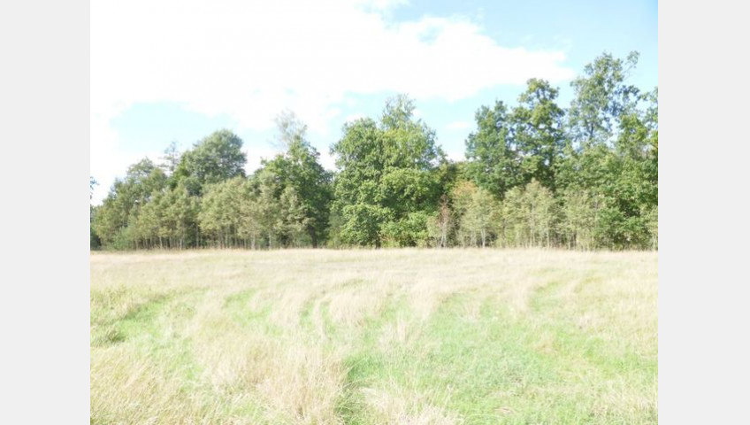 Działka Sprzedaż Grzepnica