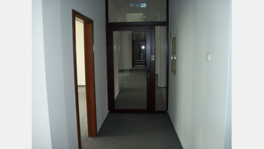 Lokal Wynajem Szczecin Centrum
