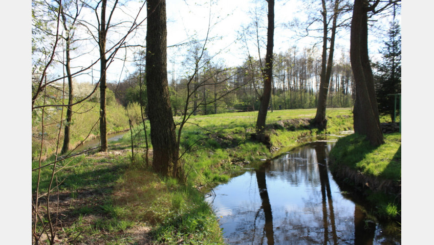 Obiekt Sprzedaż Świdwin