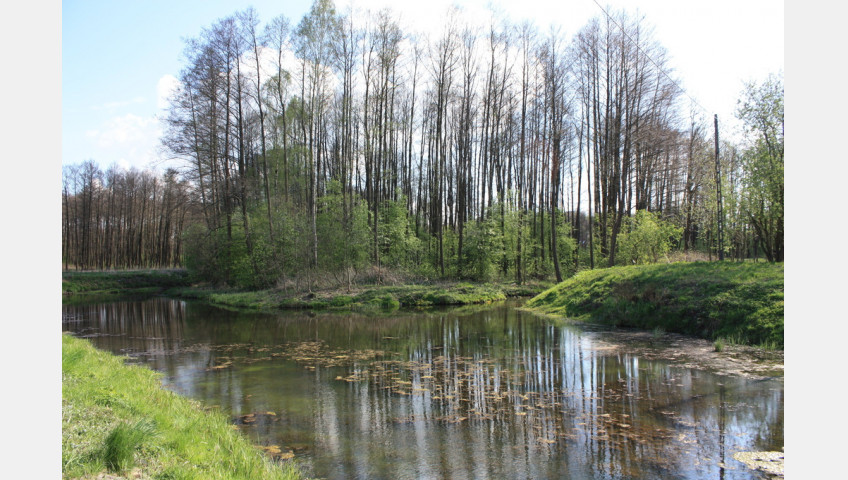 Obiekt Sprzedaż Świdwin