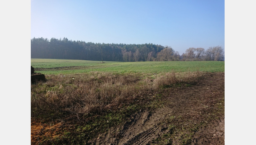 Działka Sprzedaż Raduń