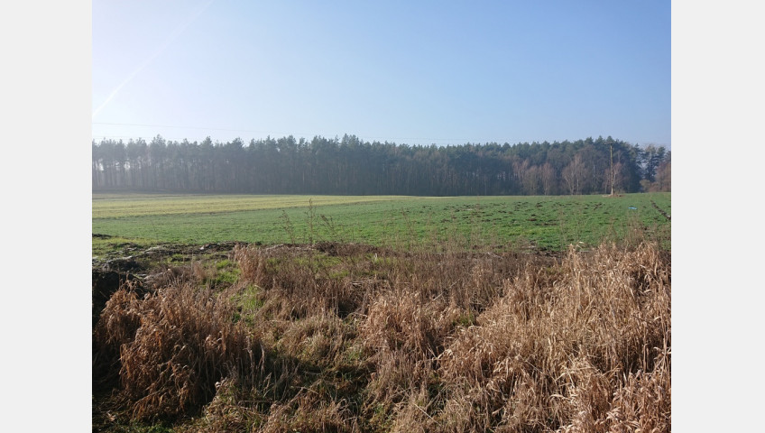 Działka Sprzedaż Raduń