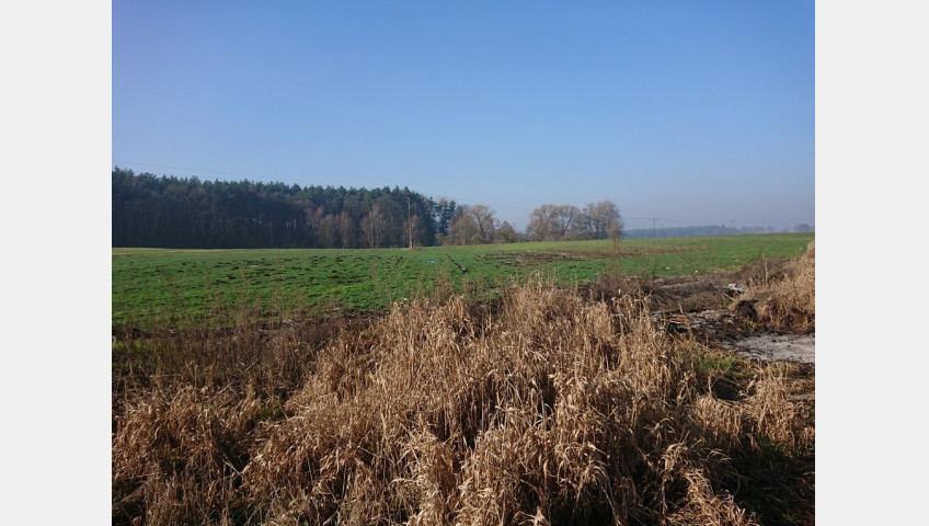 Działka Sprzedaż Raduń