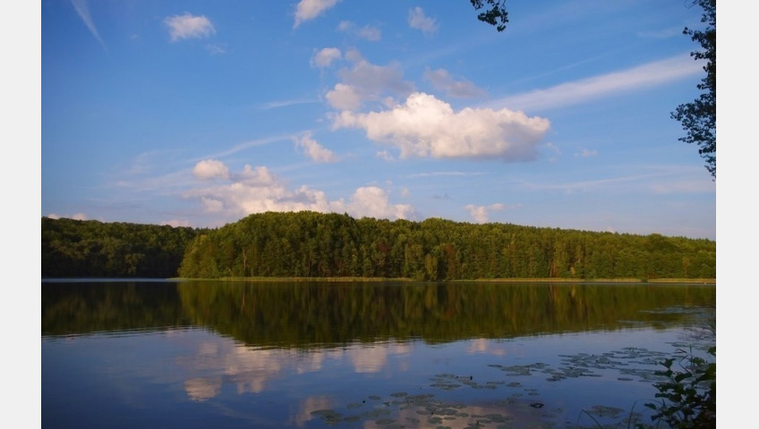 Działka Sprzedaż Komorze