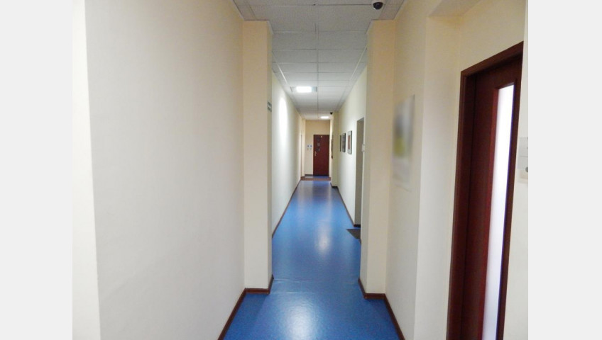 Lokal Wynajem Szczecin Śródmieście-Centrum