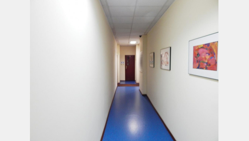 Lokal Wynajem Szczecin Śródmieście-Centrum