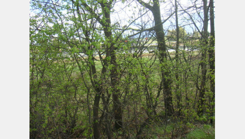 Działka Sprzedaż Kołbaskowo