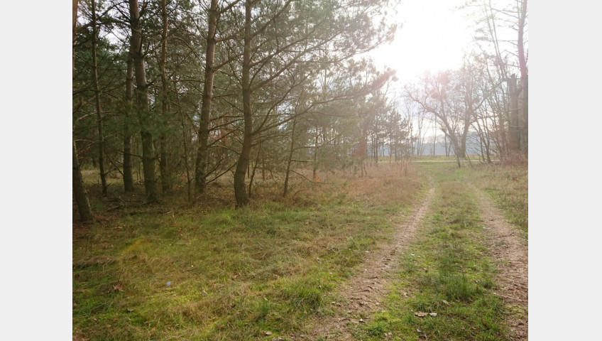 Działka Sprzedaż Starzyce