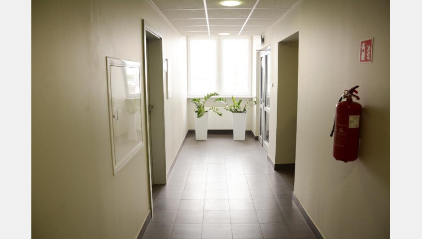Lokal Wynajem Szczecin Śródmieście