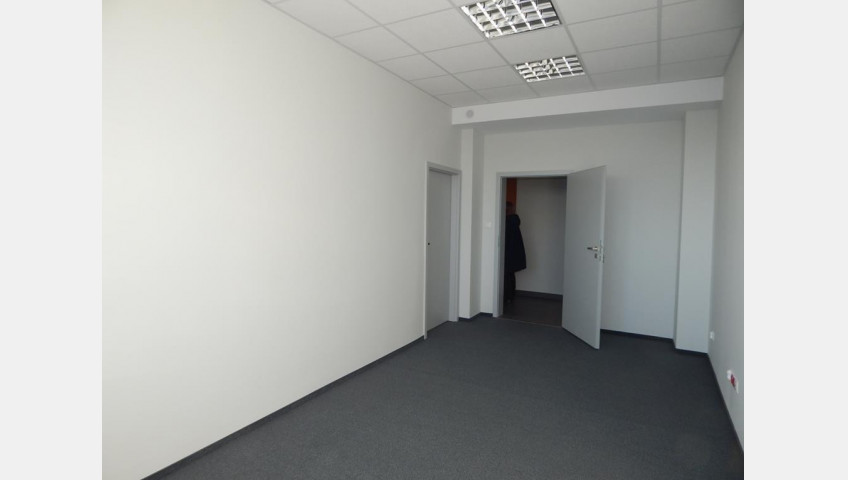 Lokal Wynajem Szczecin Śródmieście