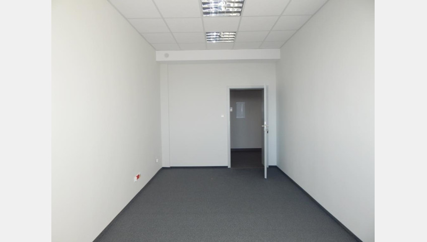 Lokal Wynajem Szczecin Śródmieście