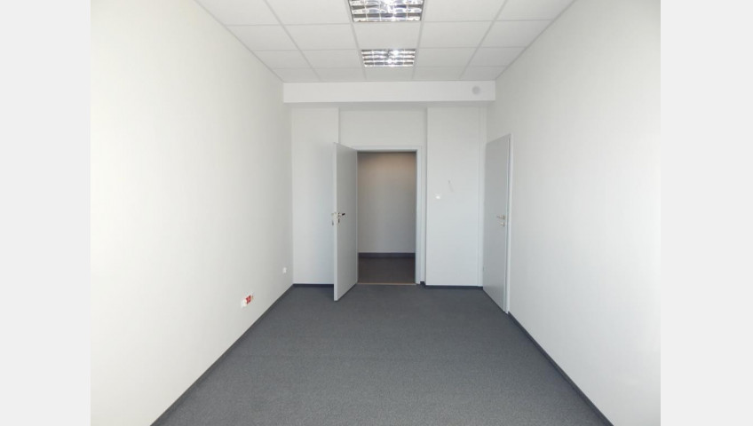 Lokal Wynajem Szczecin Śródmieście