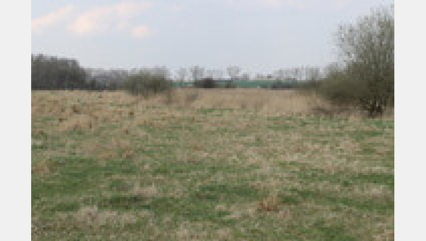 Działka Sprzedaż Barnisław