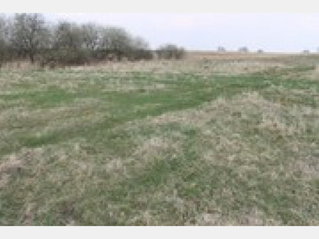 Działka Sprzedaż Barnisław