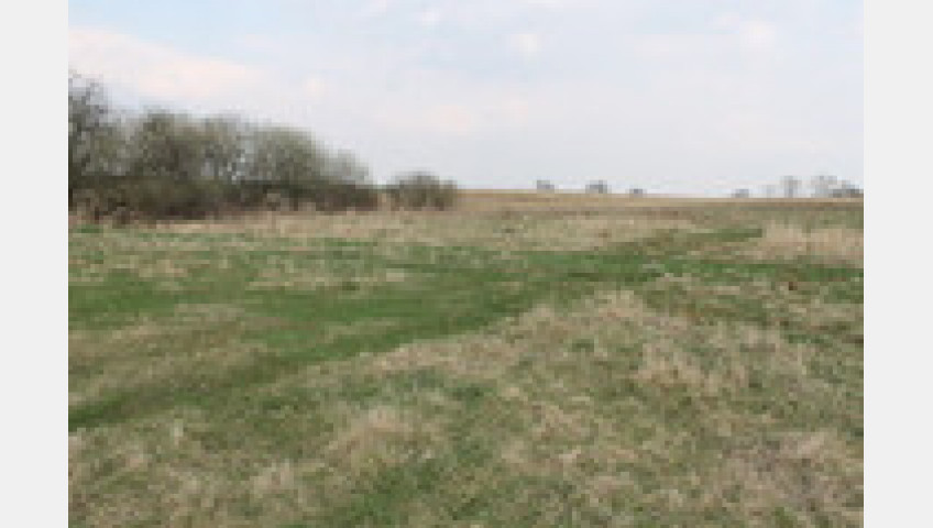 Działka Sprzedaż Barnisław