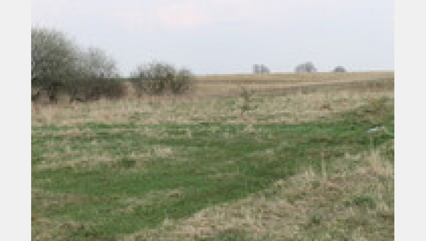 Działka Sprzedaż Barnisław