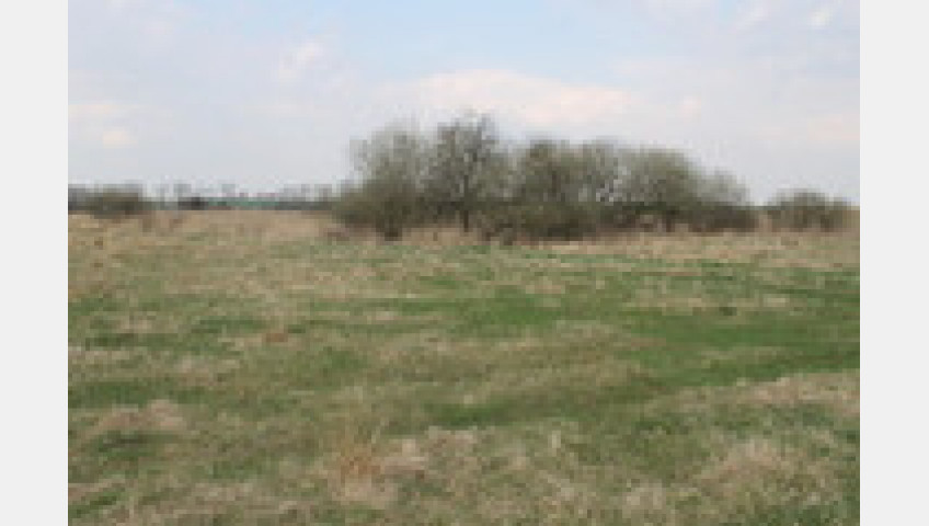 Działka Sprzedaż Barnisław
