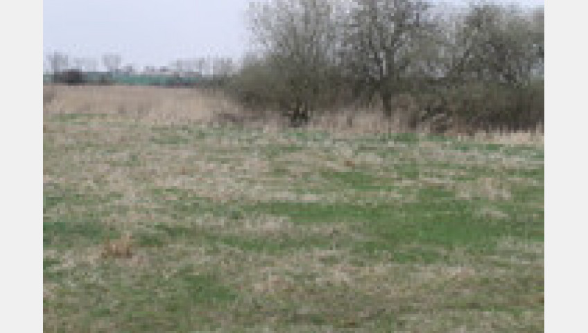 Działka Sprzedaż Barnisław