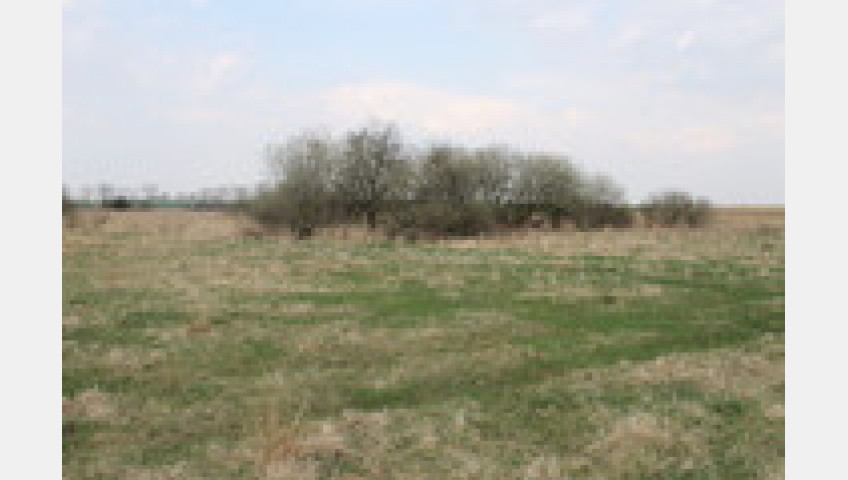 Działka Sprzedaż Barnisław