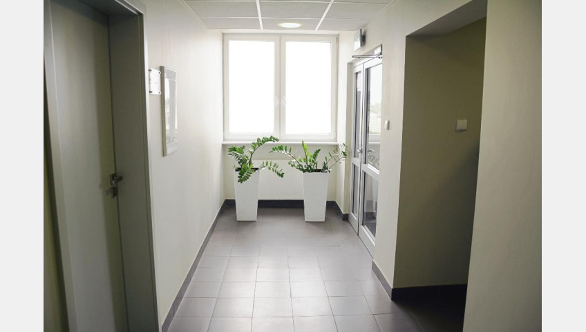 Lokal Wynajem Szczecin Śródmieście
