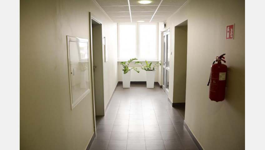 Lokal Wynajem Szczecin Śródmieście