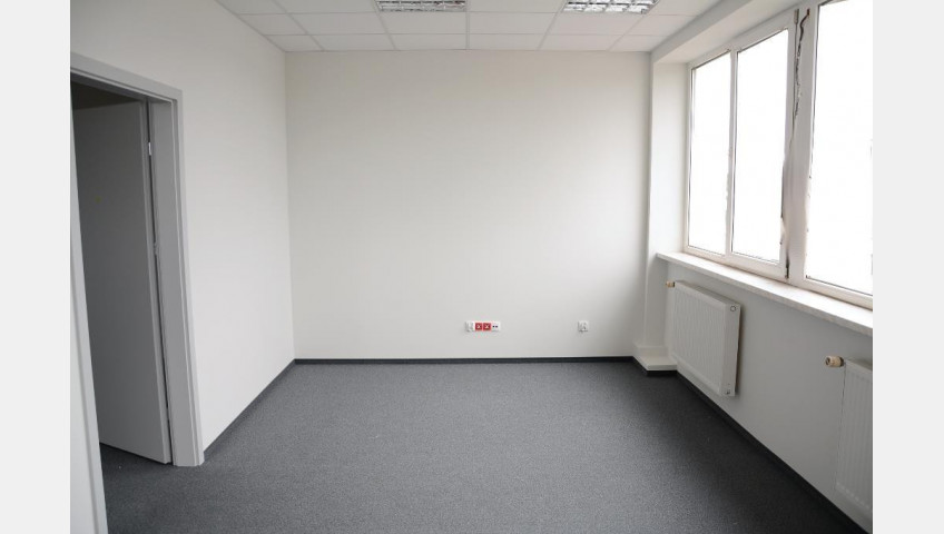 Lokal Wynajem Szczecin Śródmieście