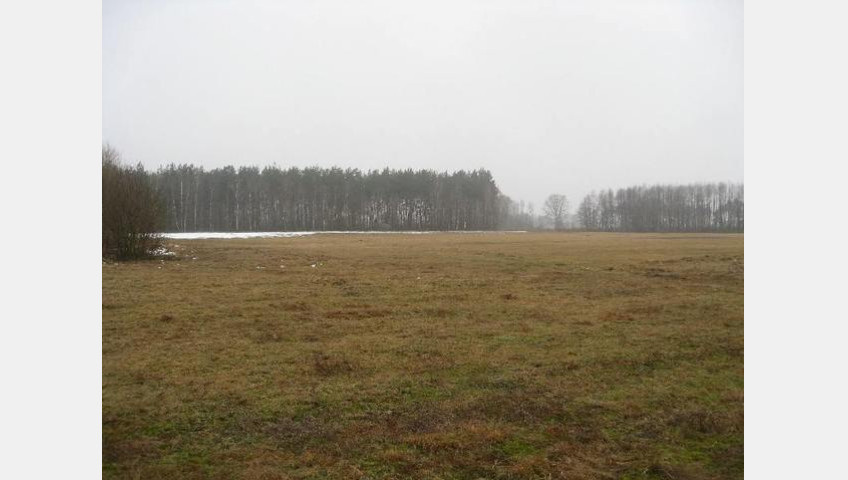 Działka Sprzedaż Stepnica