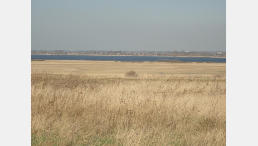 Działka Sprzedaż Turze