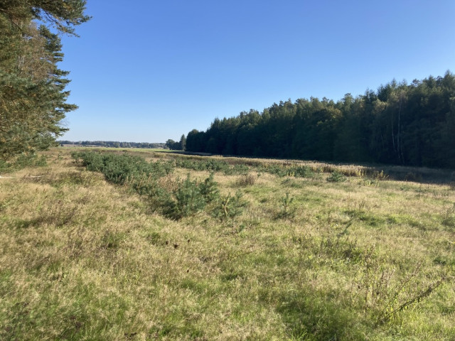 Działka Sprzedaż Krzepocin