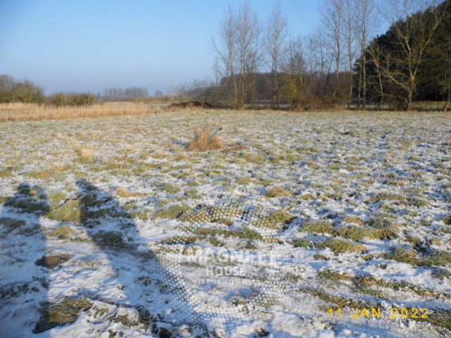 Działka Sprzedaż Brzózki